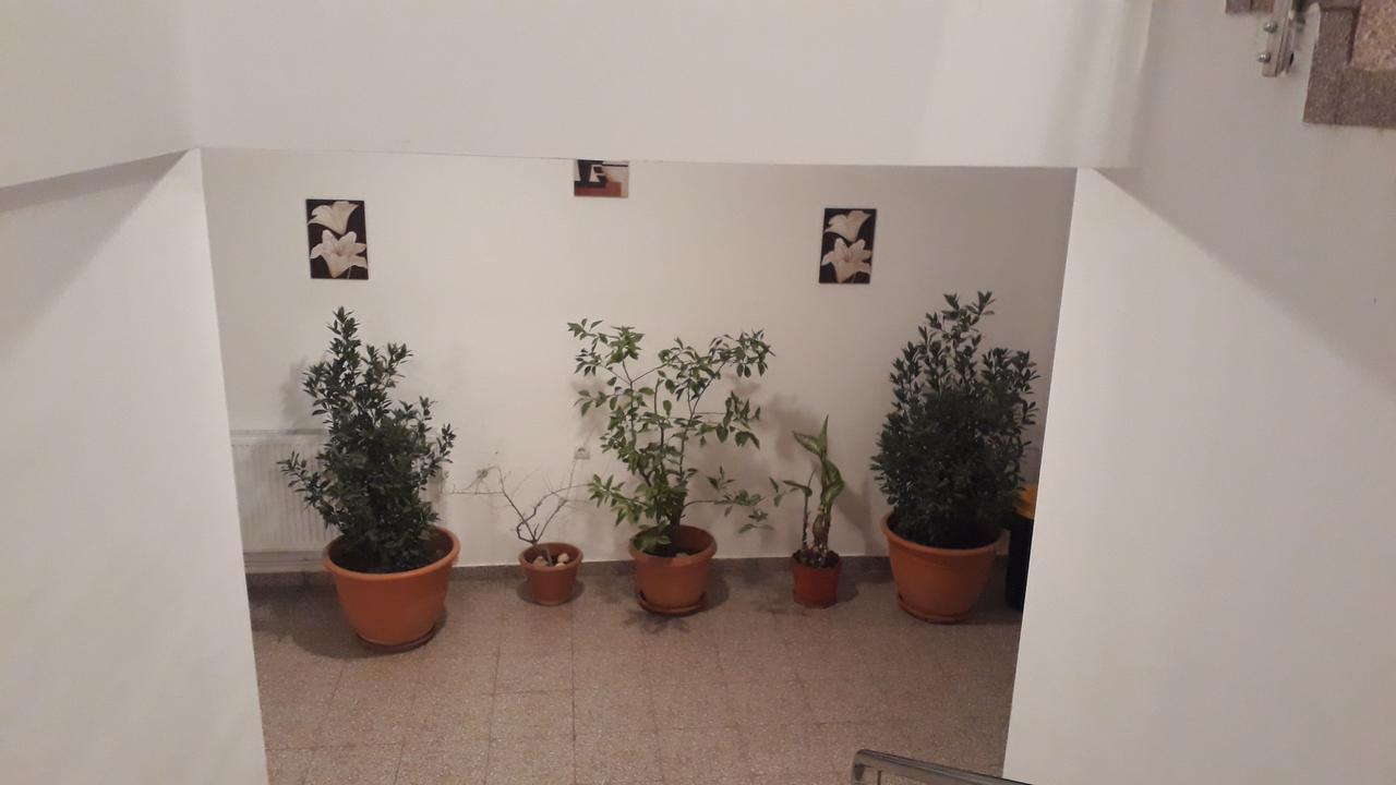 ホテル Casa Dobrescu Centura De Nord クラヨーヴァ エクステリア 写真
